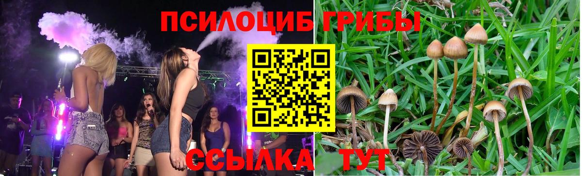 Кудымкар  Галлюциногенные грибы Magic Shrooms  Вход с VPN 